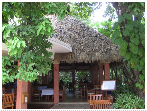 Grounds at Hotel Captain Suizo, Tamarindo, Costa Rica - 2 Grounds at Hotel Captain Suizo, Tamarindo, Costa Rica - 2