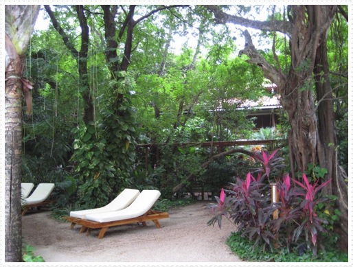 Grounds at Hotel Captain Suizo, Tamarindo, Costa Rica - 3 Grounds at Hotel Captain Suizo, Tamarindo, Costa Rica - 3