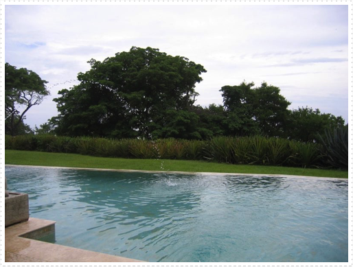 Views from the pool area - 03 Views from the pool area - 03