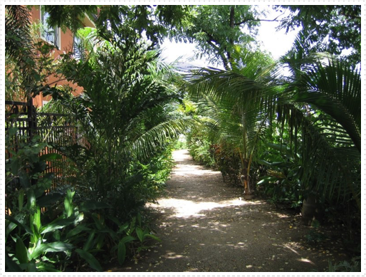 Public walkway to beach along side condo - 1 Public walkway to beach along side condo - 1