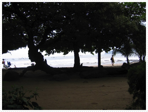 Tamarindo beach Tamarindo beach