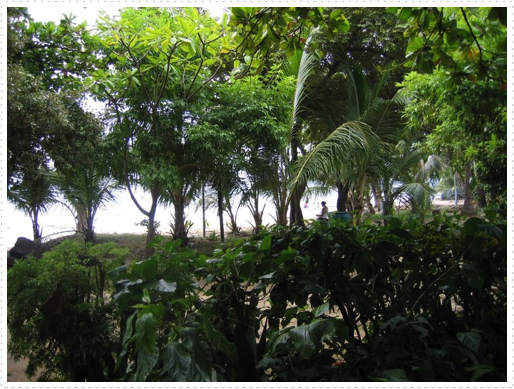 Tamarindo beach - 2 Tamarindo beach - 2