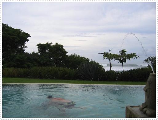 Views from the pool area - 09 Views from the pool area - 09