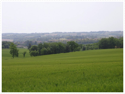 Country side on way from St. Orens Pouy Petit to Abbaye De Flaran Country side on way from St. Orens Pouy Petit to Abbaye De Flaran