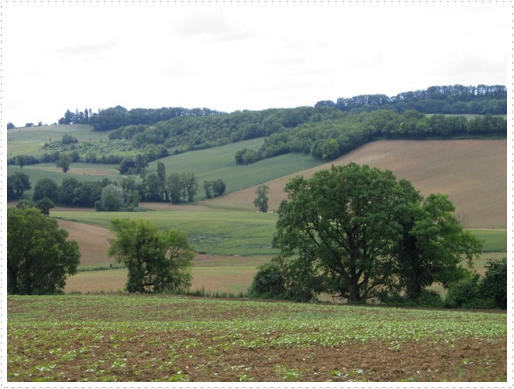 Country side on way to Agen, France Country side on way to Agen, France