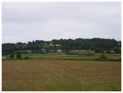 Country side on way from Agen, France to Nerac, France Country side on way from Agen, France to Nerac, France