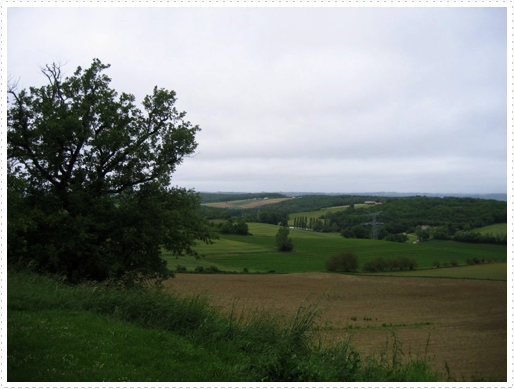 Country side on way from Agen, France to Nerac, France Country side on way from Agen, France to Nerac, France