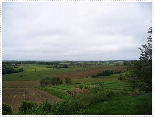 Country side on way from Agen, France to Nerac, France Country side on way from Agen, France to Nerac, France
