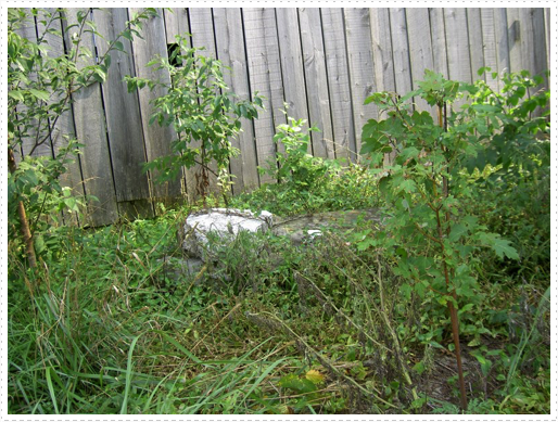 Civil War graves by the barn on Wright property Civil War graves by the barn on Wright property