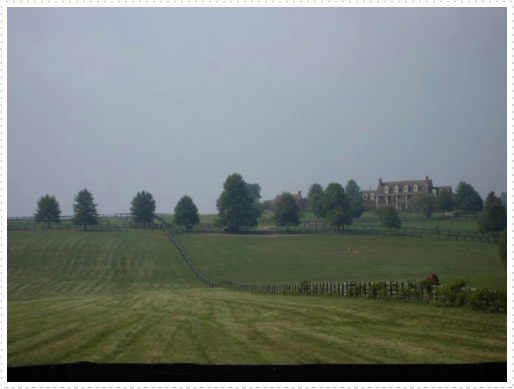 Mowed grass at KY farm near Lexington, KY Mowed grass at KY farm near Lexington, KY