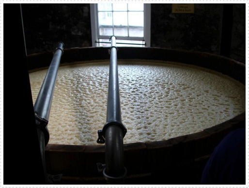 Mash vat Mash vat