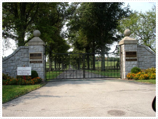 Horse Farm Horse Farm