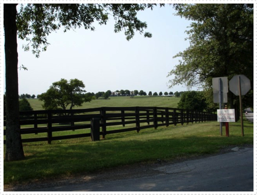 Farm on Old Frankfort Pike Road Farm on Old Frankfort Pike Road