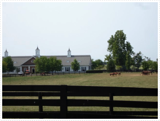 Horse Farm on Old Frankfort Pike Road Horse Farm on Old Frankfort Pike Road