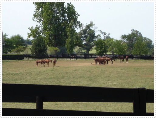 Horse Farm on Old Frankfort Pike Road Horse Farm on Old Frankfort Pike Road