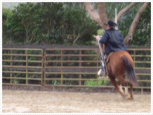 Kerry riding JD without bridle or halter - 01 Kerry riding JD without bridle or halter - 01