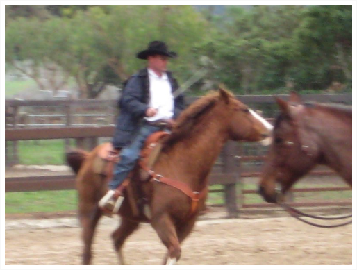 Kerry riding JD without bridle or halter - 06 Kerry riding JD without bridle or halter - 06
