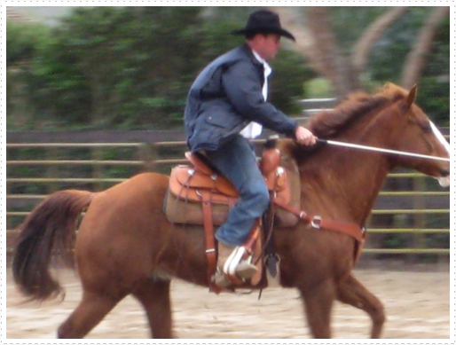 Kerry riding JD without bridle or halter - 08 Kerry riding JD without bridle or halter - 08