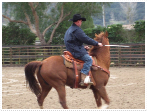 Kerry riding JD without bridle or halter - 10 Kerry riding JD without bridle or halter - 10