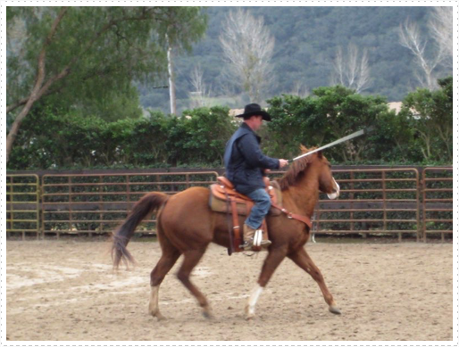 Kerry riding JD without bridle or halter - 11 Kerry riding JD without bridle or halter - 11