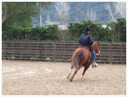 Kerry riding JD without bridle or halter - 13 Kerry riding JD without bridle or halter - 13