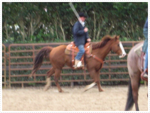 Kerry riding JD without bridle or halter - 14 Kerry riding JD without bridle or halter - 14
