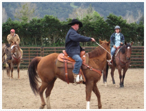 Kerry riding JD without bridle or halter - 16 Kerry riding JD without bridle or halter - 16
