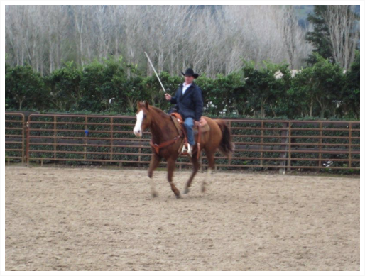 Kerry riding JD without bridle or halter - 19 Kerry riding JD without bridle or halter - 19