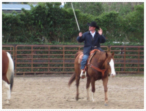 Kerry riding JD without bridle or halter - 22 Kerry riding JD without bridle or halter - 22