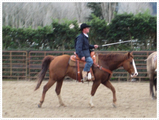Kerry riding JD without bridle or halter - 23 Kerry riding JD without bridle or halter - 23