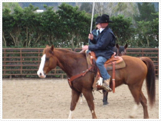 Kerry riding JD without bridle or halter - 24 Kerry riding JD without bridle or halter - 24