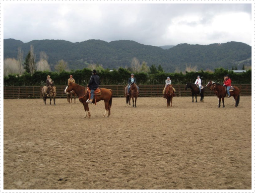 Kerry riding JD without bridle or halter - 25 Kerry riding JD without bridle or halter - 25