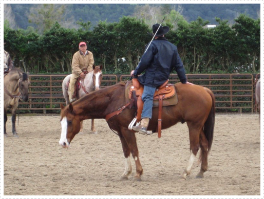 Kerry riding JD without bridle or halter - 26 Kerry riding JD without bridle or halter - 26