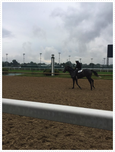 Churchill Downs