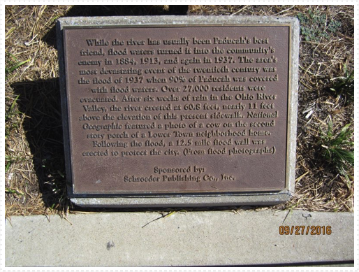 Plaque