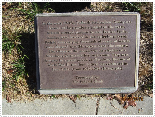 Plaque