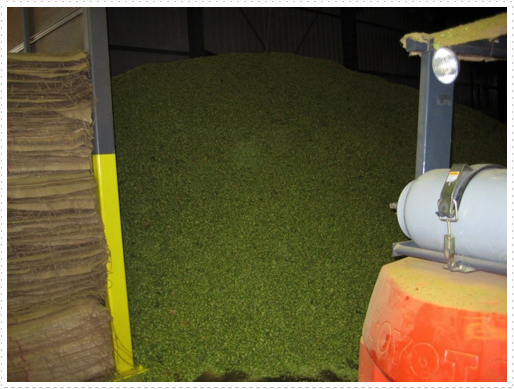 Dried hops - 3 Dried hops - 3
